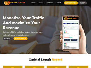 EnligneSurvey